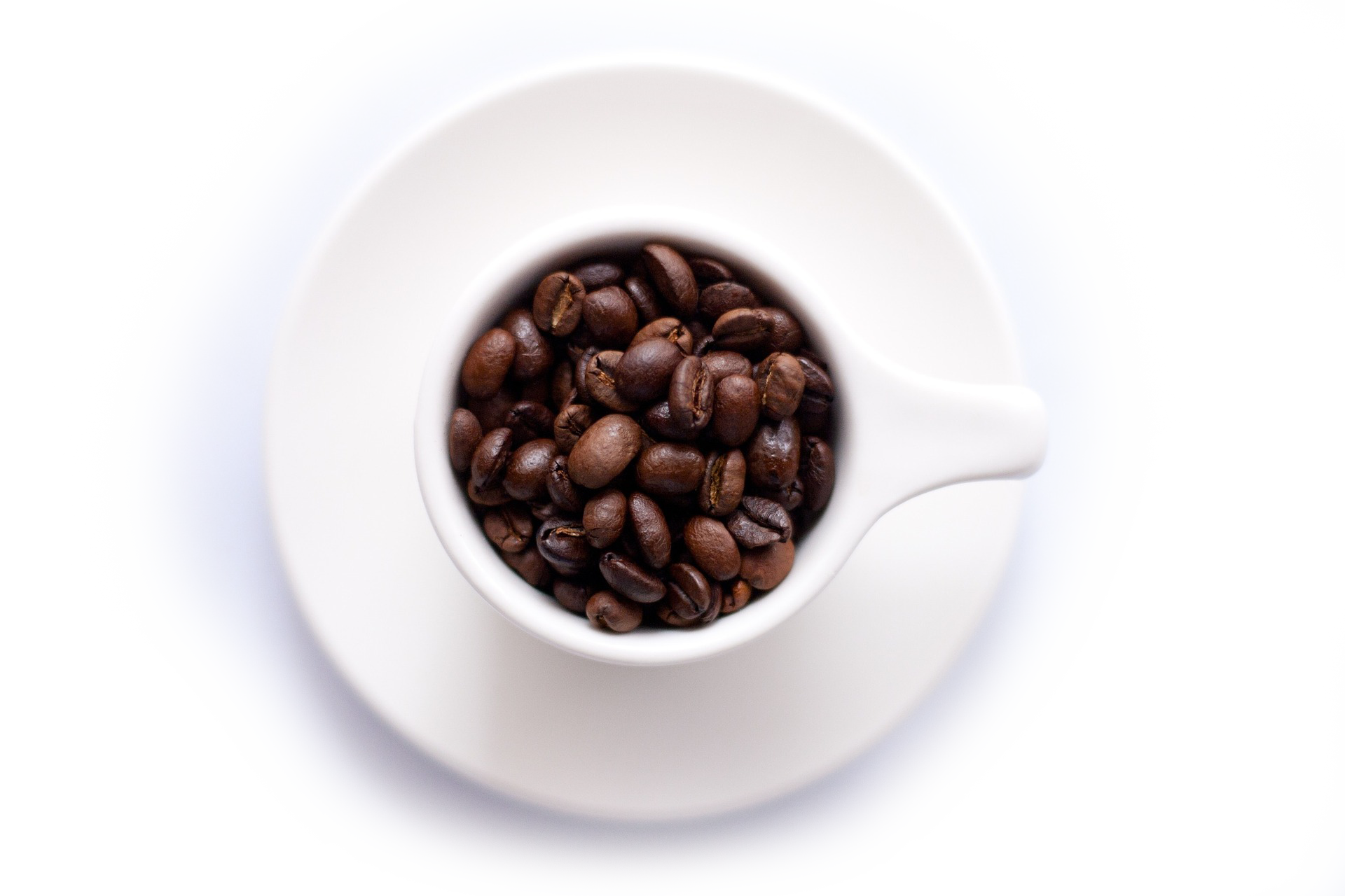 coffee-beans_ilpanino